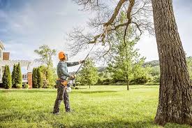 Best Tree Preservation Services  in Lombard, IL