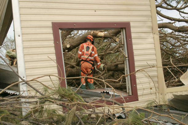 Best Utility Line Clearance  in Lombard, IL